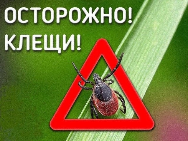 Памятка для населения по профилактике клещевого вирусного энцефалита и клещевого боррелиоза от ГБУЗ ЛО «Сланцевская МБ»