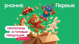 Два проекта из Ленинградской области – в финале Всероссийского конкурса «Родная игрушка»