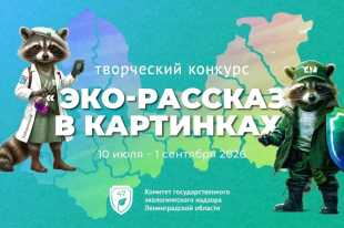 Еноты Егор и Настя – главные герои экоконкурса