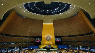 РИА Новости: только 50 стран ООН поддержали антироссийское заявление по Украине