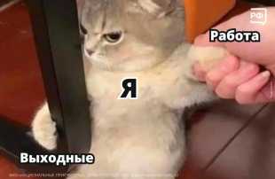 Выходные без выходных 