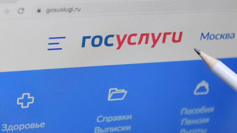 Григоренко: на "Госуслугах" появится "красная кнопка" от мошенников