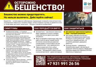 Осторожно! Бешенство!