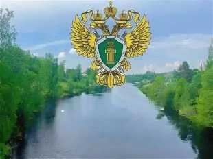 По требованию Сланцевской прокуратуры ликвидирован разлив мазута в д. Выскатка  