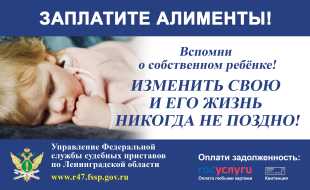Как судебные приставы защищают права детей