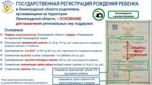 В Ленинградской области действует система поддержки для семей с новорождёнными