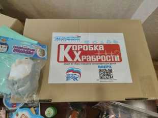 Сланцевчане приняли участие в акции «Коробка храбрости»!