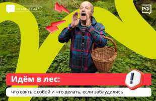 Отправляясь в лес, необходимо соблюдать меры безопасности