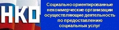 НКО Ленобласти активно развиваются