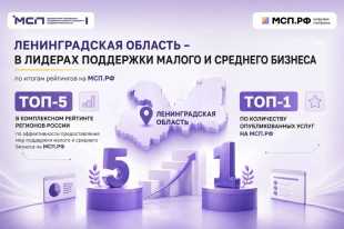 Ленинградская область — в топ-5 национального рейтинга поддержки малого бизнеса