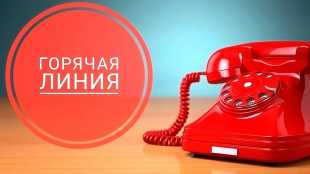 Уполномоченный примет жалобы населения Ленинградской области на работу общественного транспорта