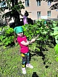 «Зёленые дошколята»:  с заботой об аллее памяти в Лучках