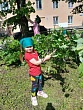 «Зеленые дошколята» – забота об аллее памяти