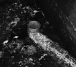 Подвал затоплен, вода идёт слабо…