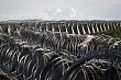 В Латвии начали устанавливать «зубы дракона» на границе с Россией