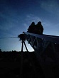 В Ленинградской области спасли аиста с поврежденной лапой