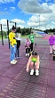 Лето под знаком ГТО!
