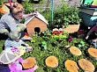 Дошкольники осваивают  современные агротехнологии